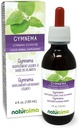 Naturalma Gymnema (Gymnema sylvestre ali Marsdenia sylvestris) Leaf Alkohol-free Tinkture - 4 fl oz Tekoči ekstrakt v kapljicah - Zeliščni dodatek - Vegan