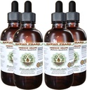 Havaji Pharm Oregon Grozdje brez alkohola Tekoči ekstrakt, Oregon Grozdje (Mahonia aquifolium) Posušeni koren Glicerit Naravni zeliščni dodatek, ZDA 4x4 fl.oz
