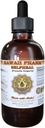 Selfheal Liquid Extract, Organic Selfheal (Prunella Vulgaris) Tinktura, Zeliščni dodatek, Havaji Pharm, Made in USA, 4 fl.oz