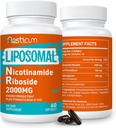 2000 MG Liposomski Nikotinamid Ribozidni dodatek s TMG & Pterostilbenom, visoko biološko razpoložljivostjo NAD+ Pospeševalni dodatek, Vrhunec niacinamida za energijo, imuniteto, odpornost na starost, 120 Softgels