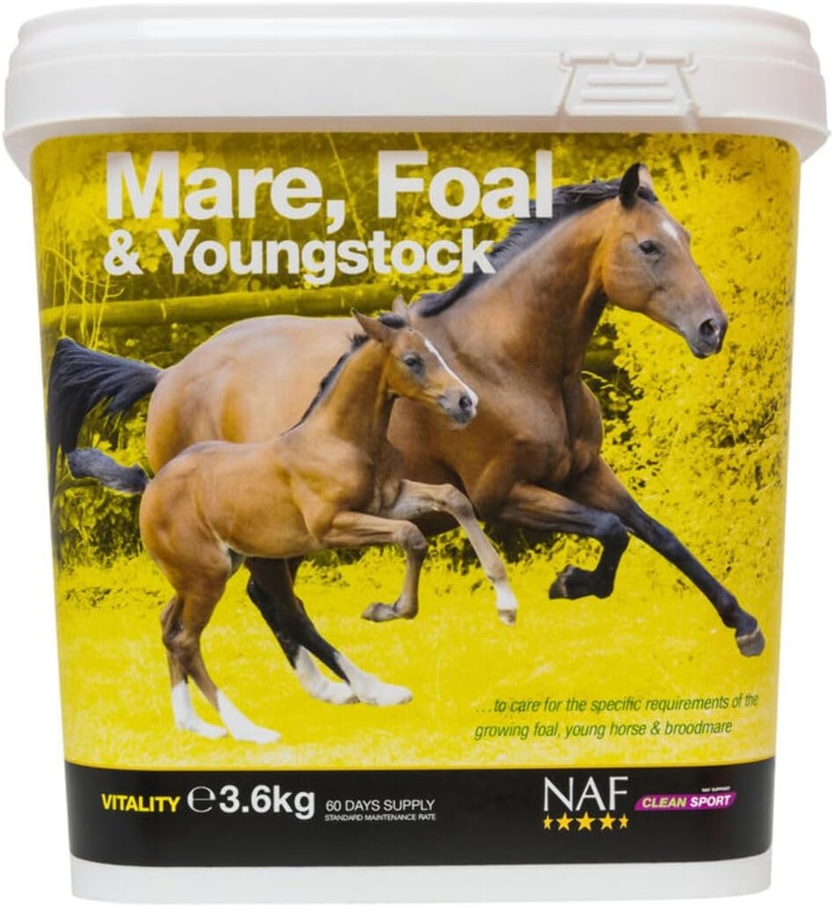 NAF Mare, žrebec & Youngstock