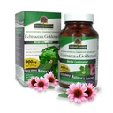 Odgovor narave Echinacea & Goldenseal 