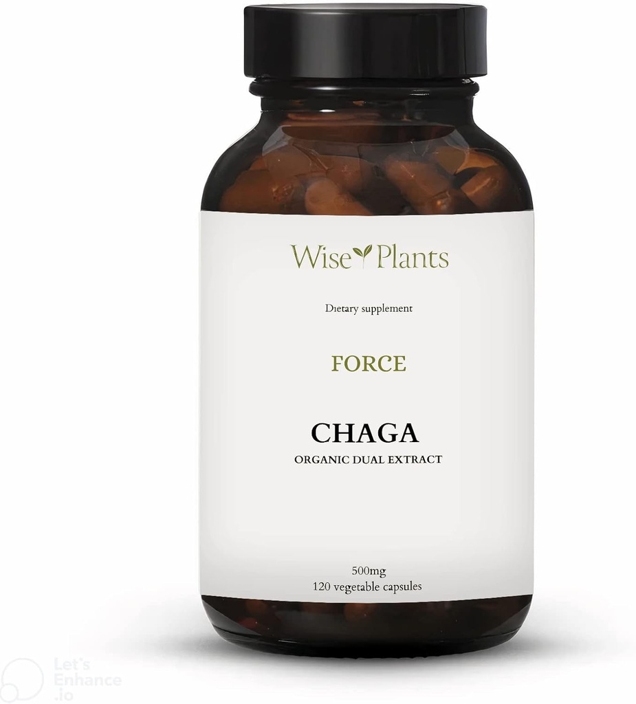Chaga goba dodatek. Dual Extract, čisto sadno telo, 30% polisaharidov, 500 mg, 120 vegetakov (120-dnevna zaloga). Lahko podpira zdrave prebavne, imunske funkcije in spodbujanje zdravja srca.