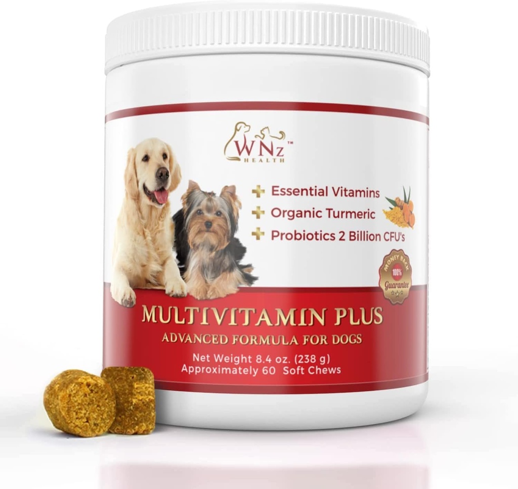 Dog multivitamini in dodatki, probiotiki za pse w/Turmeric & Yucca, probiotične pasjih žveči za možganske funkcije, Gut & Imuna podpora, skupno zdravje in anti-vnetljiv dodatek, 60 Chews, 8.4 oz