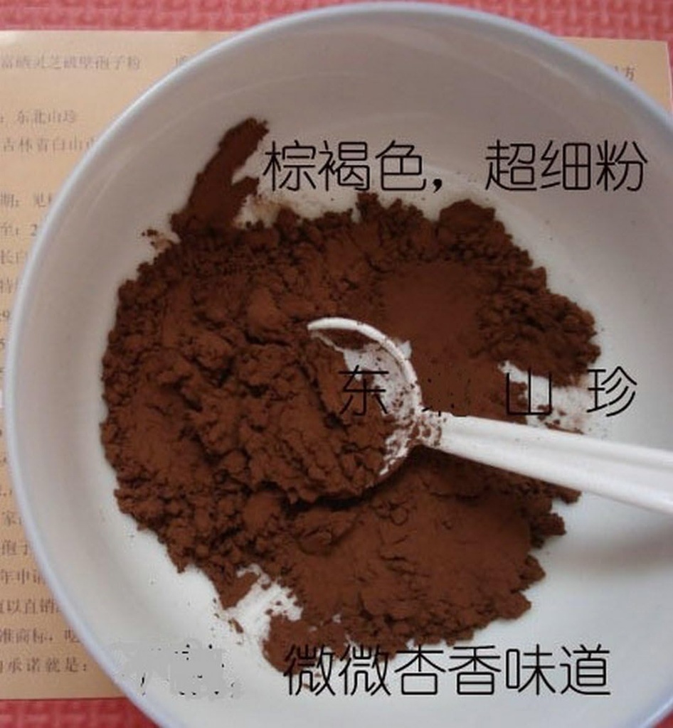 Duan-Wood 98% Shell-Broken LINGZHI Ganoderma Reishi Spore Prašek 100Grams (3.5 oz.) Vakuumski paket