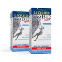 Wellgenix B12 Max Liquid - vitamin B6, B12 & Folate-visoka absorpcija - kardiovaskularno zdravje, mentalna jasnost, energijsko povečanje in hujšanje - 1,75oz, 2 paketa