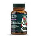 Gaia Herbs Cranberry Concentrat - pomaga ohranjati zdravje urinarnega trakta - izdelan z organskim ekstraktom sadnega soka iz brusnic v prijetnih kapsulah - 60 veganskih tekočih Phyto-Capsules (30-dnevna zaloga)