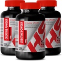 Body Builder za moške - CREATINE Powder 100G - Kreatin razsutem stanju - 3 steklenica (prašič)