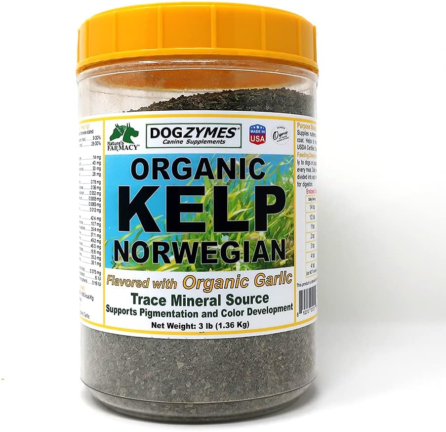Dogzymes Organic Norvegian Kelp Izboljšano s česen (3 funt)
