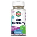 KAL Kids Cinc Elderberry Dinosaurs, Imunska podpora dodatek* za otroke w/ Sambucus Elderberry, hitro raztapljanje mešane Berry ActivMelts, Zabava, Okusno Dino Shapes, Vegan, 90 Servings, 90 Micro Tablets