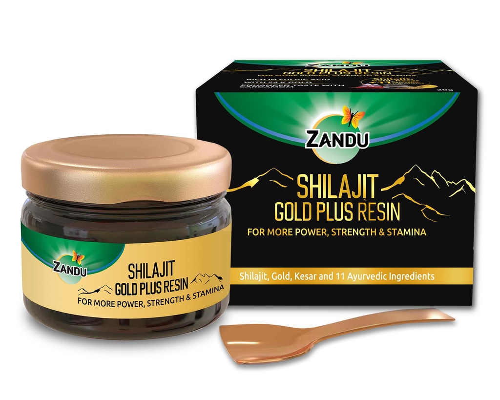 Zandu Himalajan Shilajit Resin 