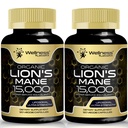 Levi Mane dopolnilne kapsule - 120 Count - Gobe dopolnilo, Možganski dodatki za spomin in fokus, Levje Mane gob kapsule - Kognitivne in imunske podpore, Focus dodatek - 2 paket