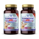 Solgar Kangavites, Bouncin’ Berry Flavor - 120 žvečljivih tablet, pakiranje po 2 - popolni multivitaminski in mineralni formula za otroke - Vegan, Gluten Free