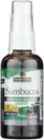 Narave odgovarjajo Sambucus Spray