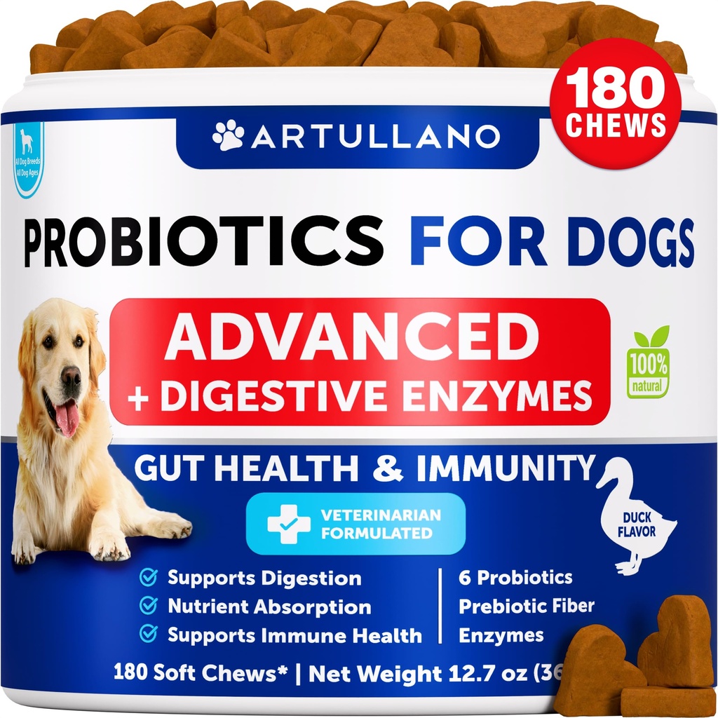 Probiotiki za pse - podpora Gut Zdravje, Srbeča koža, Alergije, Imuniteta, Yeast Balance - Probiotiki in pregestivnih encimov s prebiotiki - zmanjšanje diareje, plin - 180 Probiotični žveči za pse