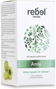 Kapsule Rebel Herbs Amla (Amalaki) - imunosupresivna podpora, Vegan, Gluten-free, Ayurvedic, Antioksidant, Certified Organic Amla