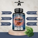 APOLLO-SHEGEMONY Alpha-GPC 600 mg na dnevni odmerek - 90 veganskih holinskih kapsul - 99% holin alfoscerat prehranska dopolnila - lipidni holin - spomin in koncentrirane kapsule