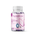 Hyland's Kids Organic Elderberry Plus Gummies, Organic Black Elderberry z ZINC in vitaminom C, Imunska podpora za otroke, 48 Veganski Gummies