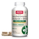 Jarrow Formulas Saccharomyces Boulardii + MOS Probiotiki za prebavno zdravje in črevesni trakt Podpora - 5 milijard CFU na serviranje - 90 Zapoznelih release Caps - Probiotic + Prebiotic - 90 Servings