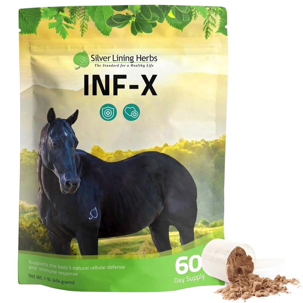 Silver Lining Herbs Equine INF-X - Podpira Konjski stres Relief in zdrave ravni dobrih bakterij - Naravna podpora za imunski sistem Equine - Zeliščni dodatek za razstrupljanje Equine - 1 lb