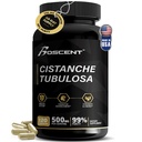 Premium Cistanche Tubulosa Extract 500mg (120 kapsul) - 50% ehinakozidi,10% aktieozidi - naravni nootropični za Stamino, imuniteto in spomin - brez polnil, Hormonovo ravnovesje - Moč Booster za moške