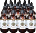HawaiiPharm Olive (Olea europaea) Ekološki posušen list Veterinarska Naravna Brezalkohol Tekoči ekstrakt, Pet Zeliščni dodatek 15x4 oz