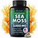 Kapsule Sea Moss - Irish Sea Moss Advanced with Burdock Root, Bladderwrack & Muira Puama for Imunity, Gut, & Energy - Superfood Sea Moss Dodatki w/Raw Sea Moss Powder - 120 irski Seamoss tablete