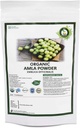 R V Essential Organic Amla Powder 100gm/ 3.53oz/ 0. 22lb- Emblica Officinalis Amla Sadni prašek za lase USDA Organic Certified Ayurvedic Zeliščni dodatek v Reseable and Reavable Zip Lock Pouch
