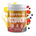 Motiv-8 Recovery Hydration in recovery, Elektrolit recovery Drink, večja vzdržljivost, izboljša recovery, Sugar-free (60 strežbe, sadni punch)