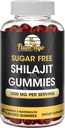 Sugar Free Shilajit Gummies (1000mg Serving)- Naravni Himalajski organska fulvična kislina Shilajit dodatek za moške in ženske -60 Gummy Chews