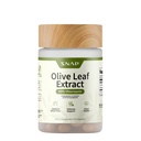 Snap dopolnila Olive Leaf Extract kapsule - Super Jakost 40% Oleuropein za podporo pretoka krvi, Izboljšati digescijo, Antioksidant Boost dodatek, Izboljšati delovanje možganov (60 kapsul)