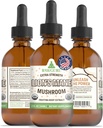 RawGuru Lion's Mane Gobe Tinkture - Veganski lev Mane Extract z minerali Trace - Nano-Procested Immunity Boost & Cognitive dodatek - 120 Serving of Vegan kapljice na 60 ml, Pakiranje po 1