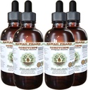 Cordyceps Brezalkoholni tekoči ekstrakt, Cordyceps (Cordyceps Sinensis) Gobe Glicerit Havaji Pharm naravni zeliščni dodatek 4x4 oz