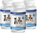 Prebavni encimi za pse 8 oz - Dog DIGESTIVNA POMOČ PROBIOTIKA - naravni pristop - RAZTOPINA K SLADI SMETI IN PLINOM - COUNTER DIARHEA - pasji probiotiki usa - 3 steklenice (180 Zdravljenja)