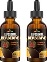 Berberine dodatek s Ceylon Cinamon 3000mg - visoka biorazpoložljivost Liposomske Berberine tekoče kapljice, Berberine HCL Complex Plus Kurmer dopolnila, AMPK Activator, primeren za ženske,Moški-120ml