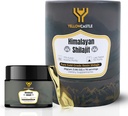 Himalajski shilajit Resin 