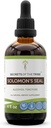 Skrivnosti plemena Solomon s Seal Tinkture Alkohol Extract, visokopotenzivne zeliščne kapljice, Tinktura narejena iz divjega Salomonovega pečata Polygonatum dihalnega sistema zdravje 4 oz