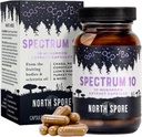 Izvleček gob vrste North Spore Organic 'Spectrum 10' Kapsule 