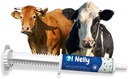 Pre in probiotična pasta (80g)- Pre in probiotiki z vitamini in minerali- 6 sevi in 8 milijard CFU-imune in Gastro Health Support for All Ruminants: Govedo, Koze in več