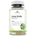 Nature Restore Gotu Kola Extract dodatek, standardiziran na 10 Odstotek Triterpens, proizveden v ZDA, 90 Kapsule, Non GSO, Gluten Free, Vegan
