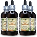 Turška repa goba (Trametes Versicolor) Tinktura, posušena goba tekoči ekstrakt (Brand Name: HerbalTerra, Ponosno narejena v ZDA) 4x4 fl.oz (4x120 ml)
