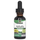 Narava je odgovor Alfelfa Herb Extract brez alkohola, 1-Fluid Ounce podpira imunski sistem, kri, prebava, energijske ravni - pomaga pri razstrupljanju