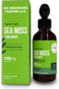Organic Sea Moss Tekoče kapljice  1 plastenka