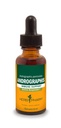 Herb Pharm andrographis Tekoči ekstrakt za podporo imunskega sistema, 1 Fl Oz (paket po 1) (DANDRO01)