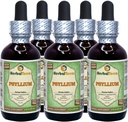 Psylium (Plantago Ovata) Glicerit, Tekoči ekstrakt brez alkohola, organsko posušen Husk (Brand Name: HerbalTerra, Proudly Made in USA) 5x2 fl.oz (5x60 ml)