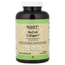 Vitacost ROOT2 BioCell kolagen s hialuronsko kislino - 100 Milligram na odmerek - 240 kapsul