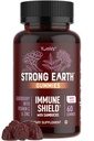 Močna Earth Elderberry Gumies – Sambucus Elderberry Imune Support z vitaminom C in cinkom – Črna Elderberry Gumies, Berry Flavor, Non-GMO, Gluten Free, Košir – 60 Count