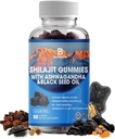 Shilajit Gummies, Shilajit, Resin, z 85+ Minerali v sledovih, fulvična kislina, fitonutrienti, vitamin C, D, B12, Ashwagandha, Chaga goba, kurkuma, za energijo, imuno podporo