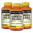 MASON NARAVNI Ginkgo Biloba, 3-mesečna oskrba, pomaga izboljšati duševno budnost in podporo optimalno delovanje možganov, 60 kapsul (3 pakiranja)
