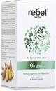 Upor Herbs ingver kapsule močan dvojni ekstrakt, ne-GMO, brez glutena, ingver korena (Rhizome) ekstrakt